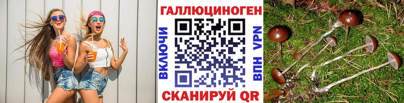 купить наркоту  Облучье  Галлюциногенные грибы мицелий 
